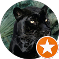 Profile photo of Nikki Raw