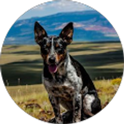 Profile photo of cheryl hart