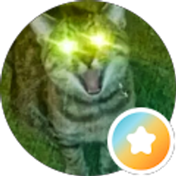 Profile photo of T. Kraus