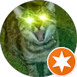 Profile photo of T. Kraus