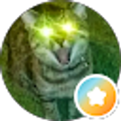 Profile photo of T. Kraus