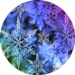 Profile photo of D Mcg