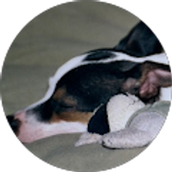 Profile photo of Lucy Holman