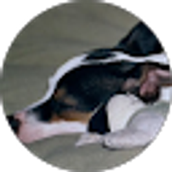 Profile photo of Lucy Holman