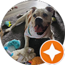 Profile photo of Sue Colangelo