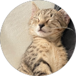 Profile photo of Jessy