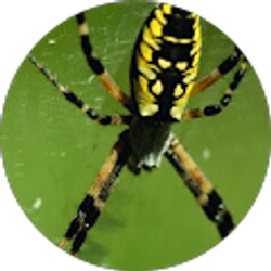 Profile photo of LaAndre Gamble