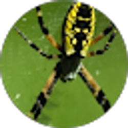 Profile photo of LaAndre Gamble