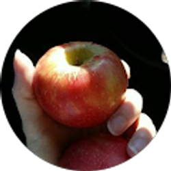 Profile photo of Megan M