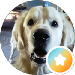 Profile photo of Loren Ouellette