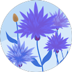 Profile photo of Mary Spreckelmeyer