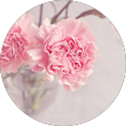 Profile photo of K. Miller