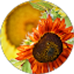 Profile photo of Mare Winter