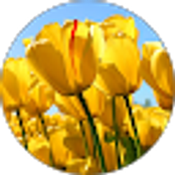 Profile photo of Param Soni