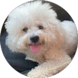 Profile photo of YANNEL C