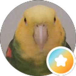 Profile photo of ENMZIN USA