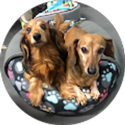 Profile photo of Jessica