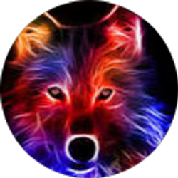 Profile photo of Cameron Mihoky