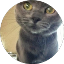 Profile photo of Christine Anderson