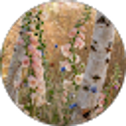 Profile photo of Josie