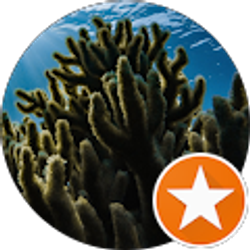 Profile photo of Luke B