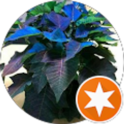 Profile photo of O G