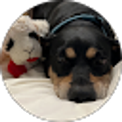 Profile photo of Maciana Gutierrez