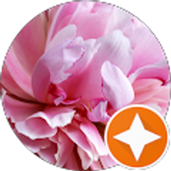 Profile photo of AnneMarie Hunter