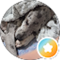Profile photo of Candace Aregis