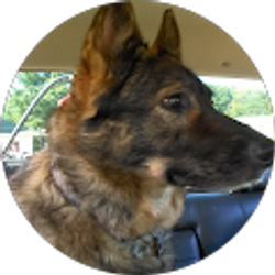 Profile photo of Sophie D