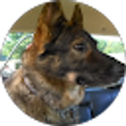 Profile photo of Sophie D