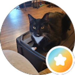 Profile photo of Pam Johnson