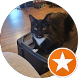 Profile photo of Pam Johnson