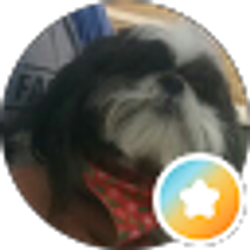 Profile photo of Krystal Gray
