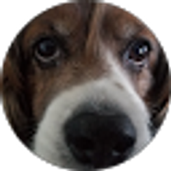 Profile photo of Jill Thayer