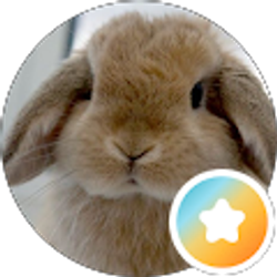 Profile photo of Kassidy Krocker