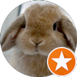 Profile photo of Kassidy Krocker