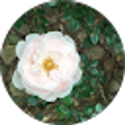 Profile photo of Madi Grave