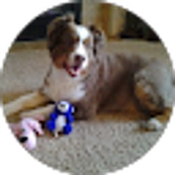 Profile photo of Rhonda Witt