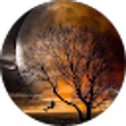 Profile photo of Camille Ryder