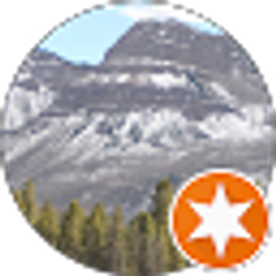 Profile photo of Alison Silva