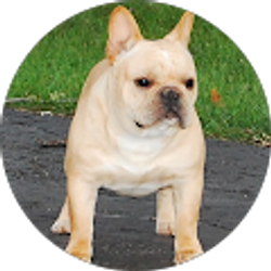 Profile photo of Clint Crabtree