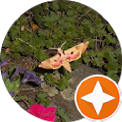 Profile photo of The GnS Zoo