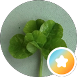 Profile photo of louisea lynn k