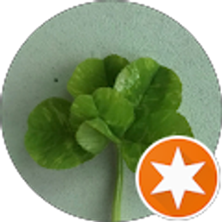 Profile photo of louisea lynn k