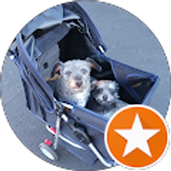 Profile photo of Ooma