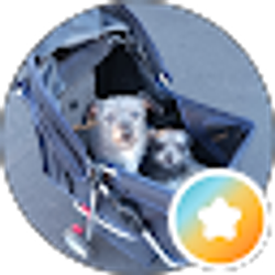 Profile photo of Ooma