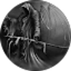 Profile photo of Trent Stroessner