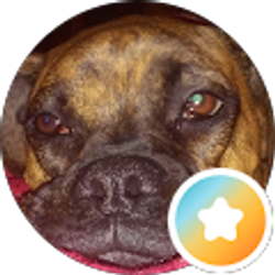 Profile photo of Jenniffer Simmons-Smith