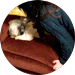 Profile photo of Errol Severson